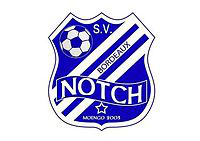 Notch team logo