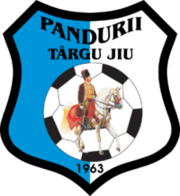 Pandurii Tg Jiu team logo