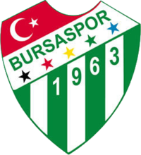 Bursaspor team logo