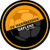 SV Gaflenz team logo