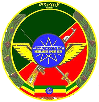 Defence Force team logo