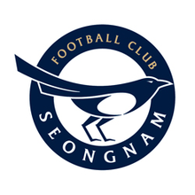 Seongnam FC team logo