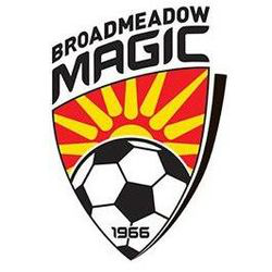 Broadmeadow Magic team logo
