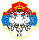 South Springvale team logo