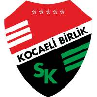 Kocaeli Birlikspor team logo