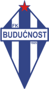 Buducnost Podgorica team logo