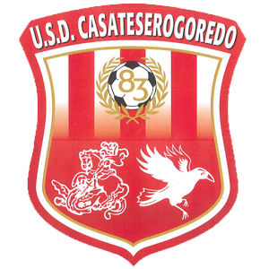 CasateseRogoredo team logo