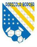 Agricola Borcea team logo