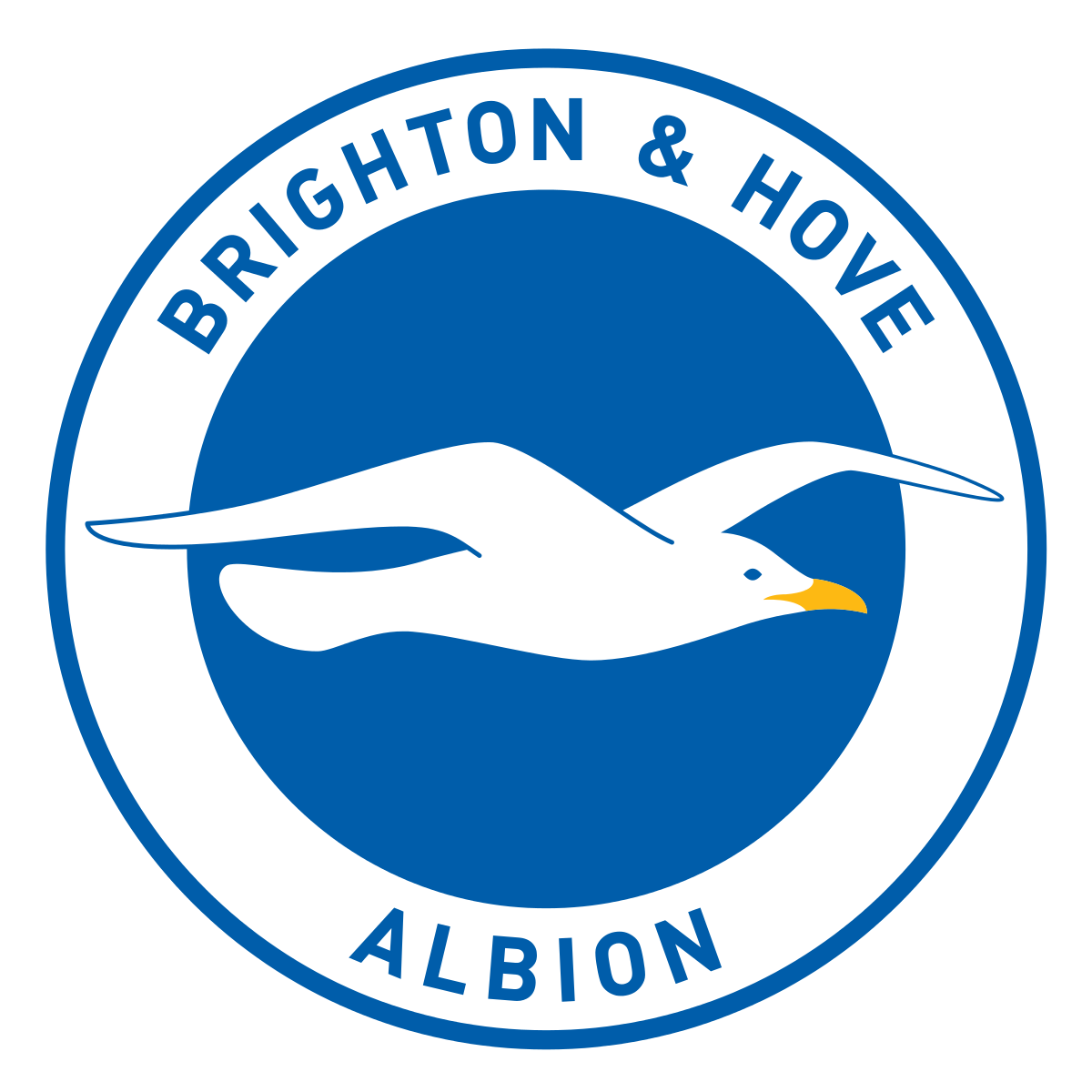 Brighton (w) team logo