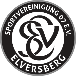 SV Elversberg team logo