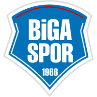 Bigaspor team logo