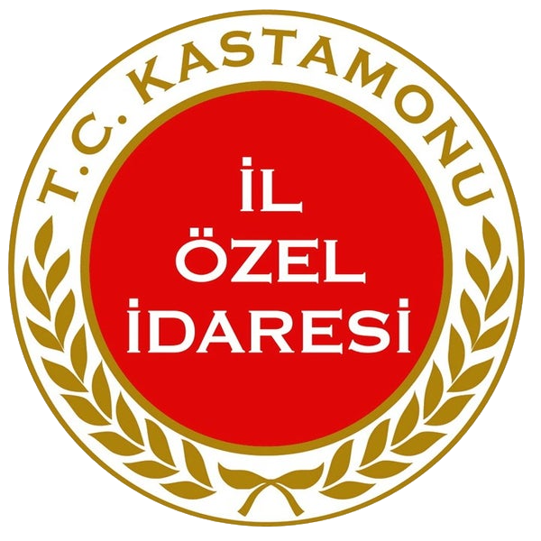 Kastamonu Ozel Idare team logo