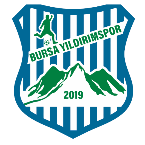 Bursa Yildirimspor team logo
