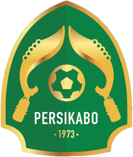 Persatuan Sepak Bola Indonesia Kabupaten Bogor team logo