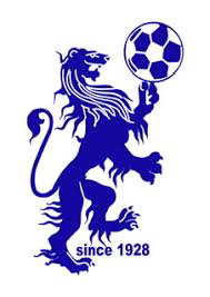 Cartigliano team logo