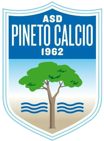 Associazione Sportiva Dilettantistica Pineto Calcio team logo