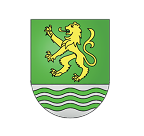 Paradiso team logo