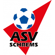 ASV Schrems team logo