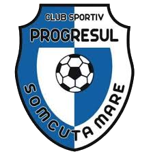 Progresul Somcuta Mare team logo