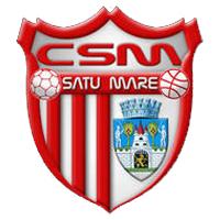 Satu Mare team logo