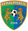 FeralpiSalo team logo