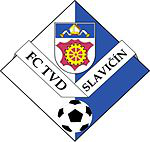 Slavicin team logo