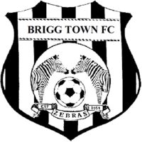 Brigg Town team logo