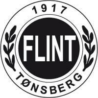 Flint team logo