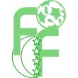 Comoros team logo