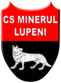 Minerul Lupeni team logo