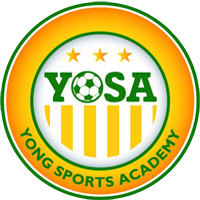 Young Sports Academy team logo