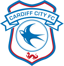 Cardiff City 4 Sunderland 0 RECAP: Paterson, Ralls and Pilkington