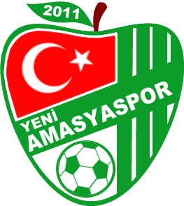 Yeni Amasya Spor team logo