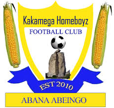 Homeboyz team logo
