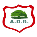 AD Guanacasteca team logo