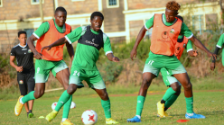What should Harambee Stars fans expect from 