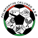 Cailungo team logo