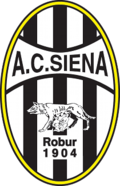 Siena team logo