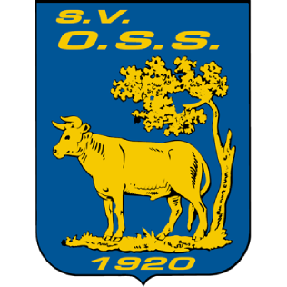 OSS 20 team logo