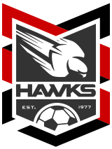 Holland Park Hawks team logo