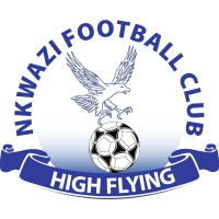 Nkwazi team logo