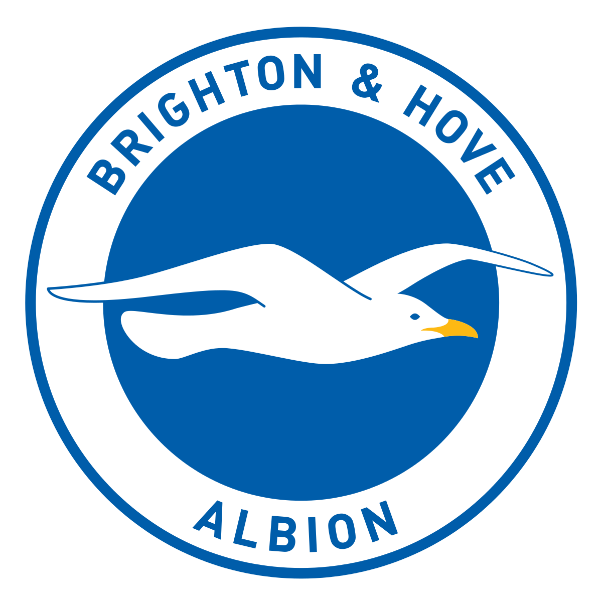 Brighton and Hove Albion Academy team logo