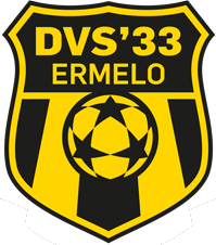 DVS 33 team logo