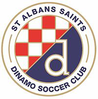 St Albans Saints (u21) team logo