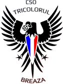 Tricolorul Breaza team logo