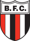 Botafogo SP team logo