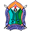 Djibouti team logo