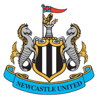 Newcastle team logo