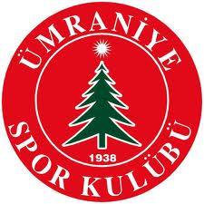 Umraniyespor team logo